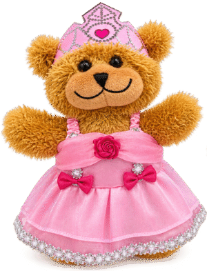 princess bear outfit